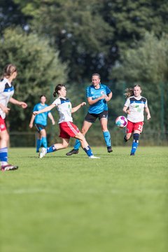 Bild 188 - wBJ VfL Pinneberg - Hamburger SV 2 : Ergebnis: 1:3